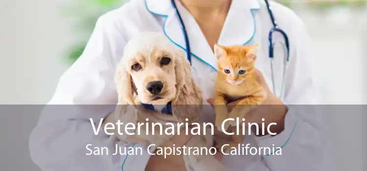 Veterinarian Clinic San Juan Capistrano California