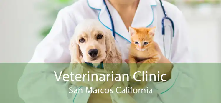 Veterinarian Clinic San Marcos California