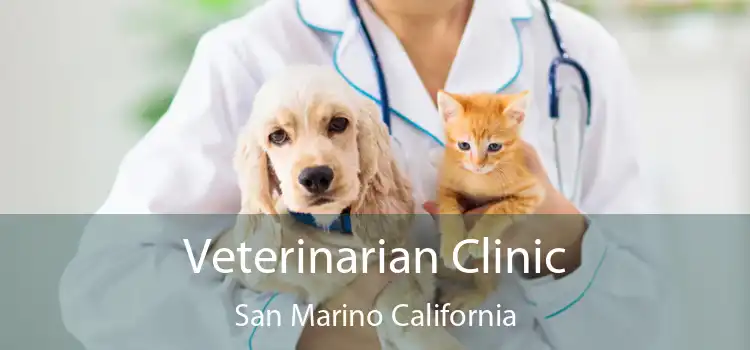 Veterinarian Clinic San Marino California