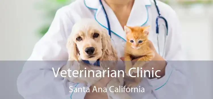 Veterinarian Clinic Santa Ana California