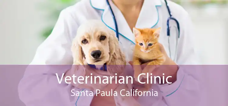 Veterinarian Clinic Santa Paula California