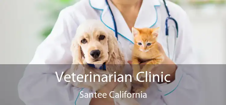 Veterinarian Clinic Santee California