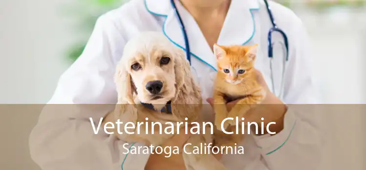 Veterinarian Clinic Saratoga California