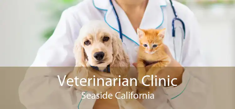 Veterinarian Clinic Seaside California