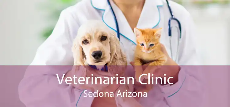 Veterinarian Clinic Sedona Arizona