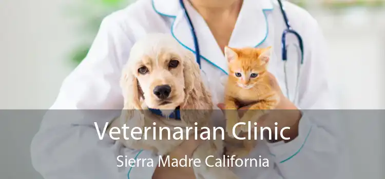 Veterinarian Clinic Sierra Madre California