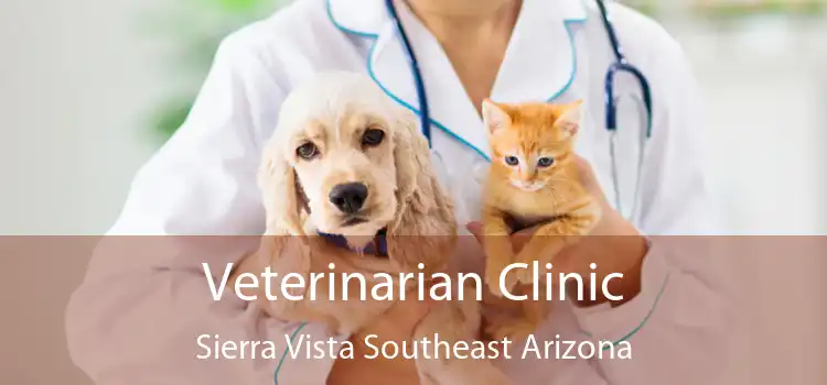 Veterinarian Clinic Sierra Vista Southeast Arizona