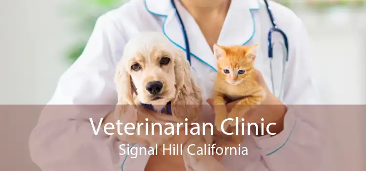 Veterinarian Clinic Signal Hill California