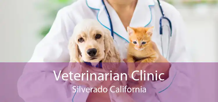 Veterinarian Clinic Silverado California
