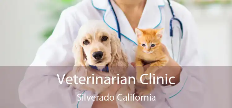 Veterinarian Clinic Silverado California