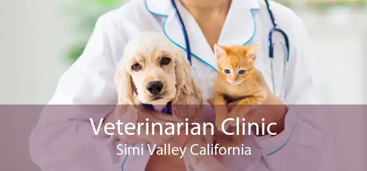 Veterinarian Clinic Simi Valley California