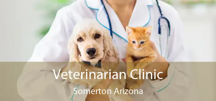 Veterinarian Clinic Somerton Arizona