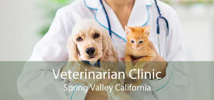 Veterinarian Clinic Spring Valley California