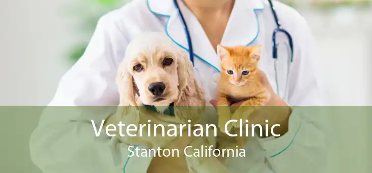 Veterinarian Clinic Stanton California