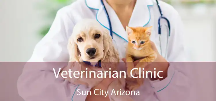 Veterinarian Clinic Sun City Arizona