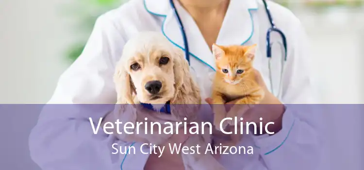 Veterinarian Clinic Sun City West Arizona