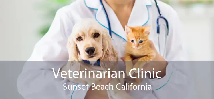 Veterinarian Clinic Sunset Beach California