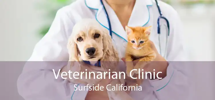 Veterinarian Clinic Surfside California