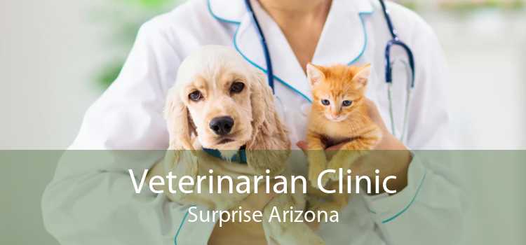 Veterinarian Clinic Surprise Arizona
