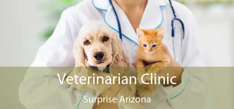 Veterinarian Clinic Surprise Arizona