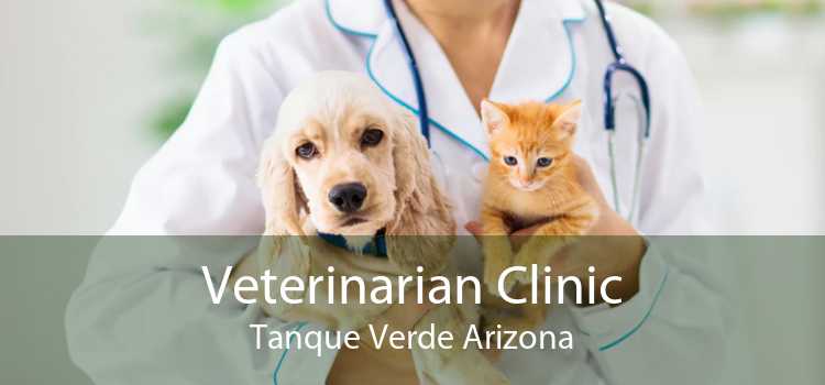 Veterinarian Clinic Tanque Verde Arizona