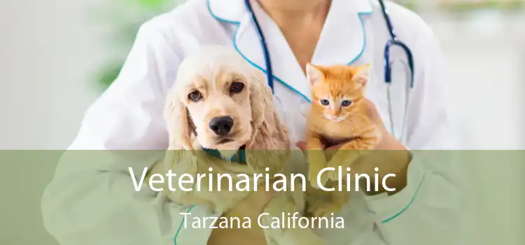 Veterinarian Clinic Tarzana California