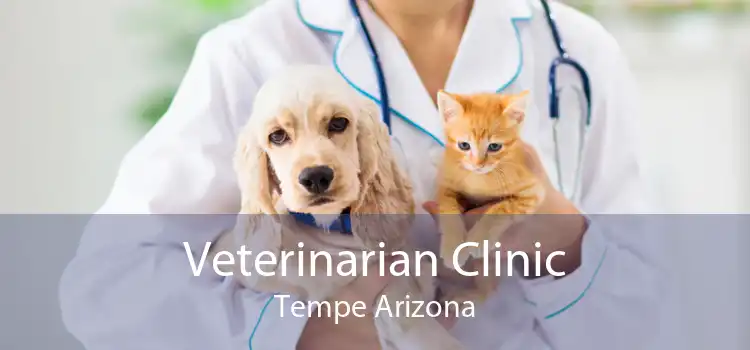 Veterinarian Clinic Tempe Arizona
