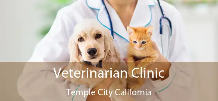 Veterinarian Clinic Temple City California