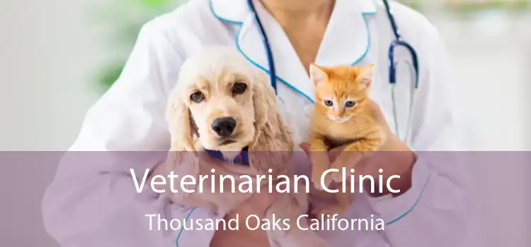 Veterinarian Clinic Thousand Oaks California