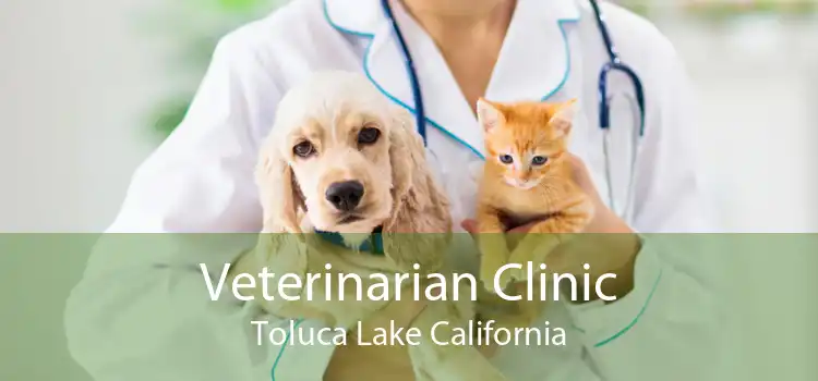 Veterinarian Clinic Toluca Lake California