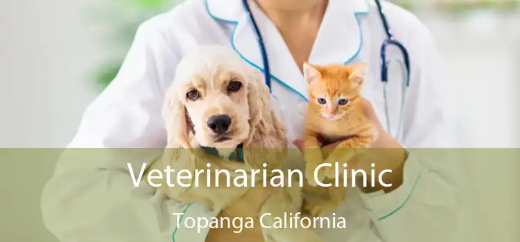 Veterinarian Clinic Topanga California