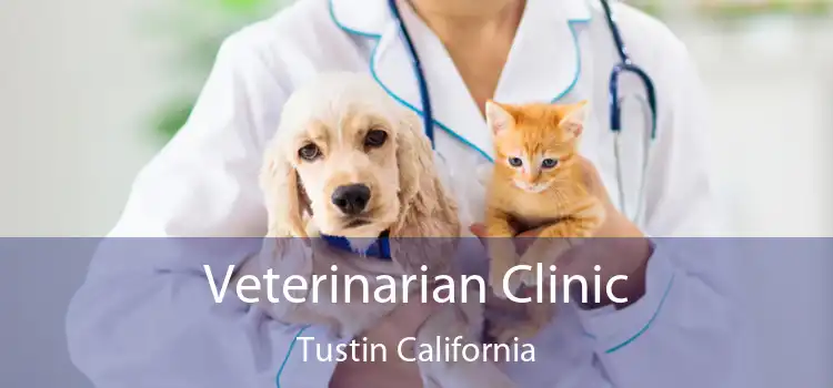 Veterinarian Clinic Tustin California