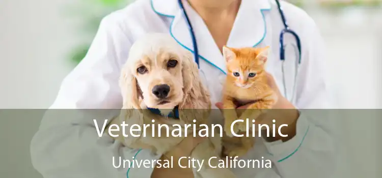 Veterinarian Clinic Universal City California