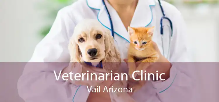 Veterinarian Clinic Vail Arizona