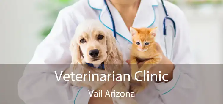 Veterinarian Clinic Vail Arizona