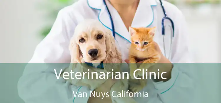 Veterinarian Clinic Van Nuys California