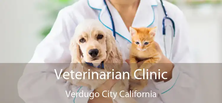 Veterinarian Clinic Verdugo City California