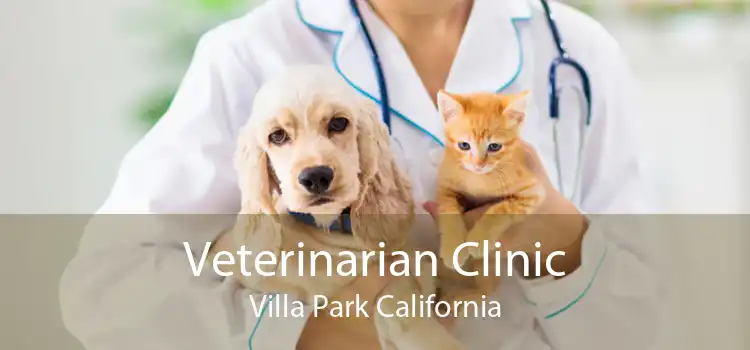 Veterinarian Clinic Villa Park California