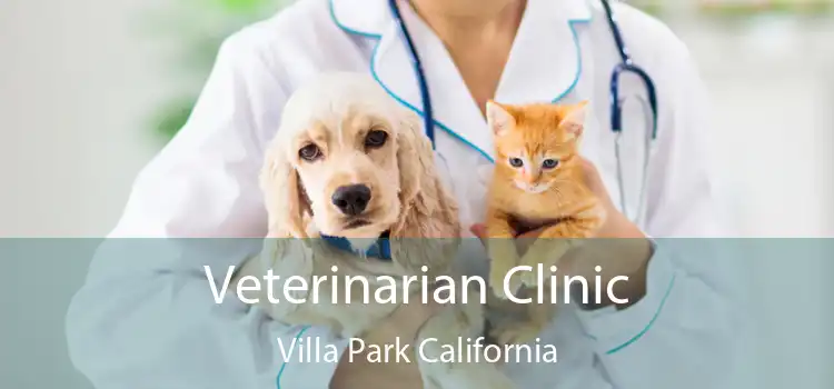 Veterinarian Clinic Villa Park California