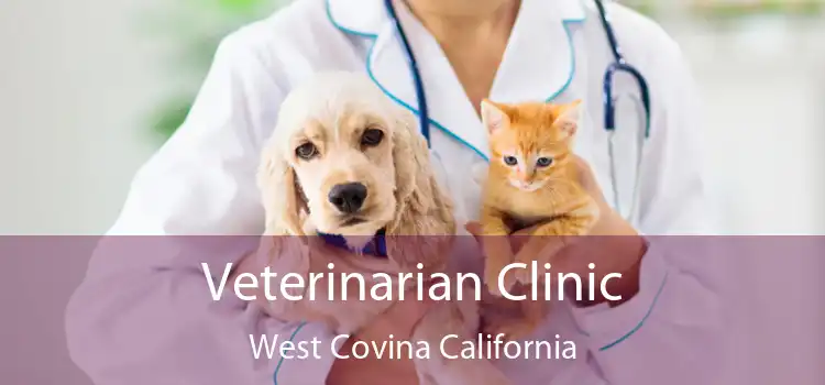 Veterinarian Clinic West Covina California