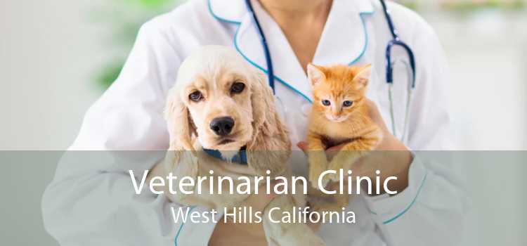 Veterinarian Clinic West Hills California