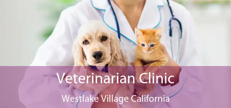 Veterinarian Clinic Westlake Village California