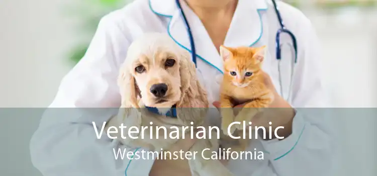 Veterinarian Clinic Westminster California