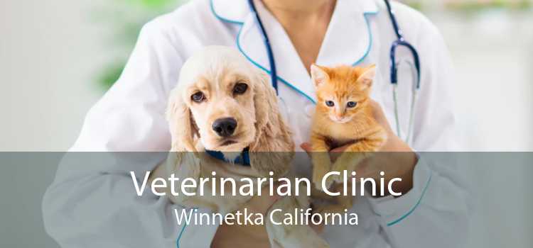 Veterinarian Clinic Winnetka California