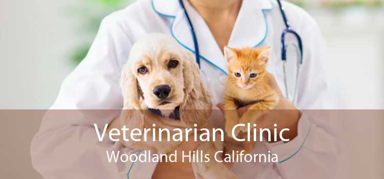 Veterinarian Clinic Woodland Hills California